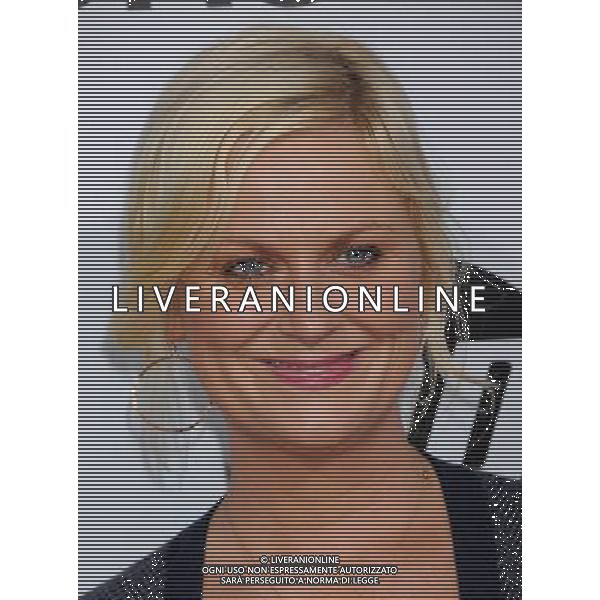 Amy Poehler Photo by Gilbert Flores \'Our Idiot Brother\' - Los Angeles Premiere at the ArcLight Cinemas Cinerama Dome August 16, 2011 - Hollywood, California