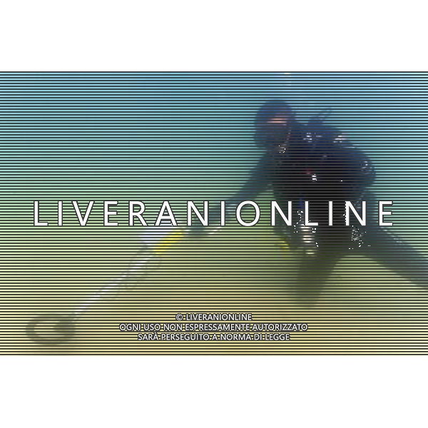 (110817) -- SHENZHEN, Aug. 17, 2011 () -- One frogman detects the dangerous articles with metal detector under the water for safe at Dameisha Seaside Park, the venue of beach volleyball, at the 26th Summer Universiade in Shenzhen, a city of south China\'s Guangdong Province Aug. 17, 2011. (/Ding Xu)(wll)
