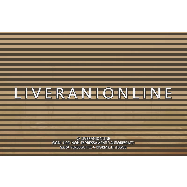 (110818) BAGHDAD, Aug. 18, 2011 Dust shrouds Baghdad, capital of Iraq, on Aug. 18, 2011. Dust hits Baghdad in summer frequently due to its dry weather. (/Zhang Ning) (zx)