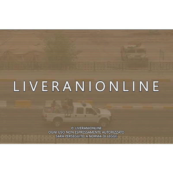 (110818) BAGHDAD, Aug. 18, 2011 Dust shrouds Baghdad, capital of Iraq, on Aug. 18, 2011. Dust hits Baghdad in summer frequently due to its dry weather. (/Zhang Ning) (zx)