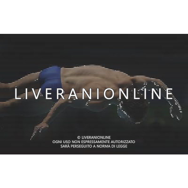 (110819) -- SHENZHEN, Aug. 19, 2011 () -- Aaron Fleshner of the United States competes during men\'s 1m springboard of diving at the 26th Summer Universiade in Shenzhen, a city of south China\'s Guangdong Province, on Aug. 19, 2011. (/Lu Hanxin)(wx)