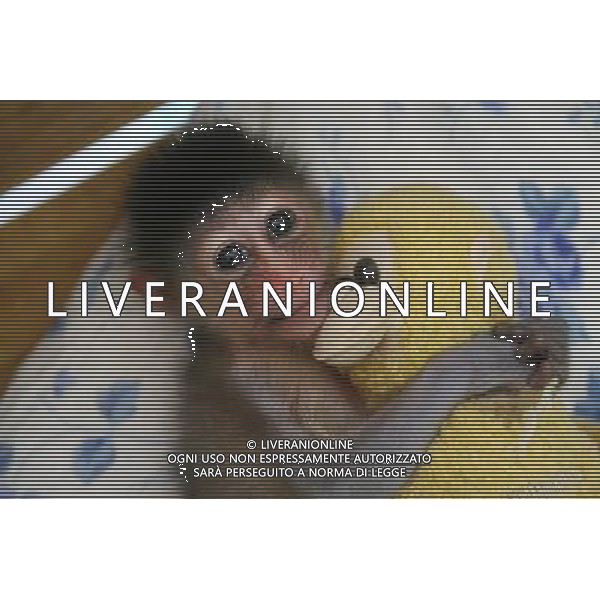 (110819) -- NINGBO, Aug. 19, 2011 () -- A half-month-old mandrill holds a monkey doll in a zoo in Ningbo, east China\'s Zhejiang Province, Aug. 19, 2011. Mandrill is under world\'s first-grade protection. (/Long Hongtao)(mcg)