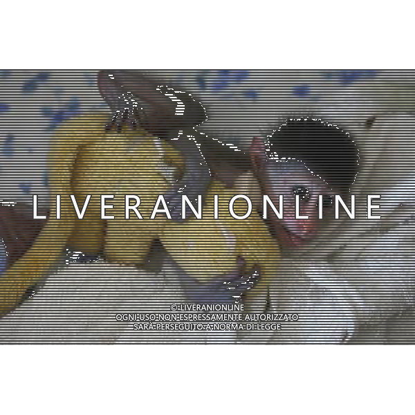 (110819) -- NINGBO, Aug. 19, 2011 () -- A half-month-old mandrill holds a monkey doll in a zoo in Ningbo, east China\'s Zhejiang Province, Aug. 19, 2011. Mandrill is under world\'s first-grade protection. (/Long Hongtao)(mcg)