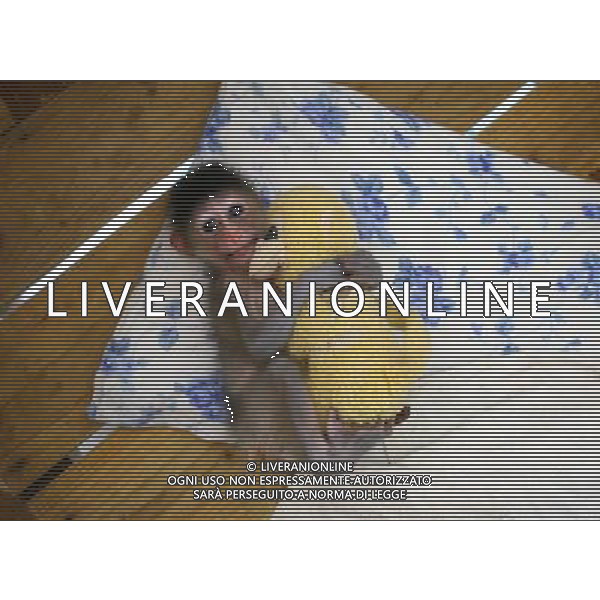 (110819) -- NINGBO, Aug. 19, 2011 () -- A half-month-old mandrill holds a monkey doll in a zoo in Ningbo, east China\'s Zhejiang Province, Aug. 19, 2011. Mandrill is under world\'s first-grade protection. (/Long Hongtao)(mcg)