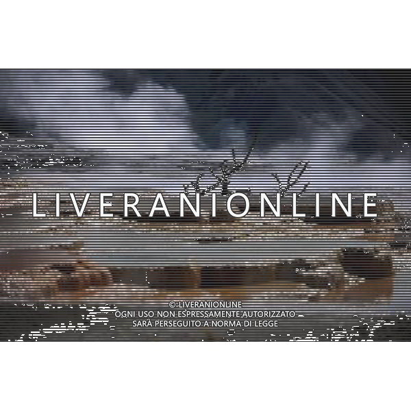 (110821) -- NEW YORK, Aug. 21, 2011 () -- Photo taken on Aug. 8, 2011 shows the scenery of Mammoth Hot Springs in Yellowstone National Park, the United States. Established in 1872, Yellowstone is a national park located primarily in the state of Wyoming, although it also extends into Montana and Idaho. Yellowstone was the first national park in the world and is known for its wildlife and its many geothermal features. (/Shen Hong) (wjd)