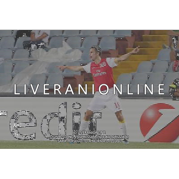 UDINESE - ARSENAL RITORNO PRELIMINARI CHAMPIONS LEAGUE 24/08/2011 NELLA FOTO ESULTANZA DOPO IL GOL DI VAN PERSIE ©GARBUIO/AGENZIA ALDO LIVERANI SAS