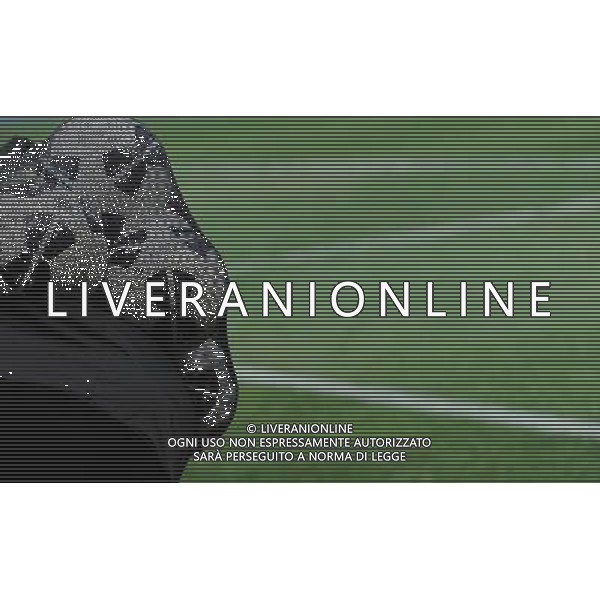 UEFA Supercoppa Europea 2011 Montecarlo - 26.08.2011 Barcellona-Porto Nella Foto:Palloni /Ph.Vitez-Ag. Aldo Liverani