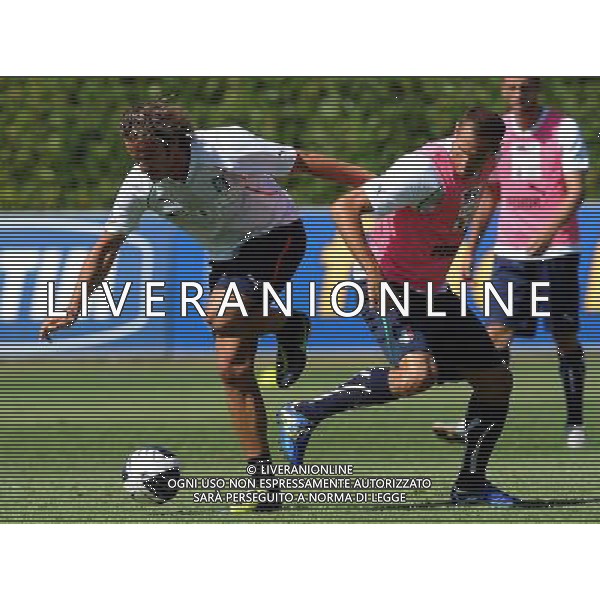 Raduno Nazionale Italiana a Coverciano Firenze - 30.08.2011 Allenamento Nella Foto:gilardino-chiellini /Ph.Vitez-Ag. Aldo Liverani