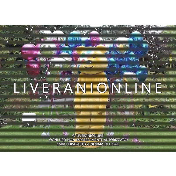 Picture Shows: Pudsey the bear attending the launch of \'BBC Children in Need POP Goes the Musical\'. Held at Kensington Roof Gardens on Wednesday August 31, 2011. .