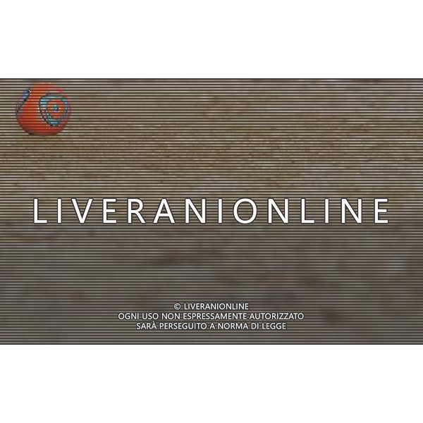 FIFA Beach Soccer World Cup 2011 Gruppo D Ravenna - 02.09.2011 Brasile-Ukraina Nella Foto:Beach Soccer Particolare Pallone /Ph.Vitez-Ag. Aldo Liverani