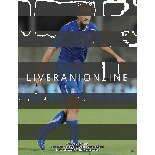 Qualificazioni ai Campionati Europei UEFA EURO 2012 Gruppo C Firenze - 06.09.2011 Italia-Slovenia Nella Foto:chiellini /Ph.Vitez-Ag. Aldo Liverani