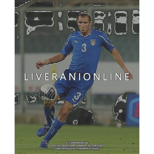 Qualificazioni ai Campionati Europei UEFA EURO 2012 Gruppo C Firenze - 06.09.2011 Italia-Slovenia Nella Foto:chiellini /Ph.Vitez-Ag. Aldo Liverani