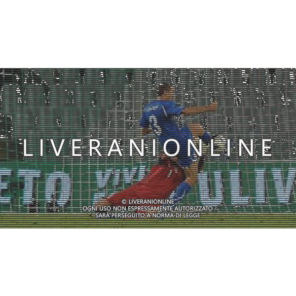 Qualificazioni ai Campionati Europei UEFA EURO 2012 Gruppo C Firenze - 06.09.2011 Italia-Slovenia Nella Foto:chiellini anticipa buffon /Ph.Vitez-Ag. Aldo Liverani