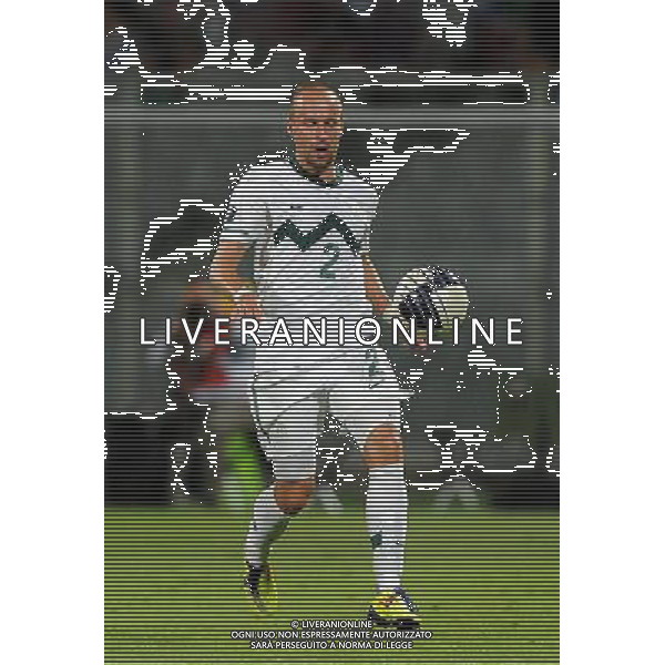 Qualificazioni ai Campionati Europei UEFA EURO 2012 Gruppo C Firenze - 06.09.2011 Italia-Slovenia Nella Foto:Miso Brecko /Ph.Vitez-Ag. Aldo Liverani