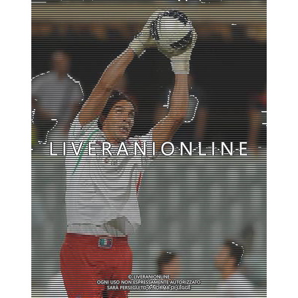 Qualificazioni ai Campionati Europei UEFA EURO 2012 Gruppo C Firenze - 06.09.2011 Italia-Slovenia Nella Foto:Gianluigi Buffon /Ph.Vitez-Ag. Aldo Liverani
