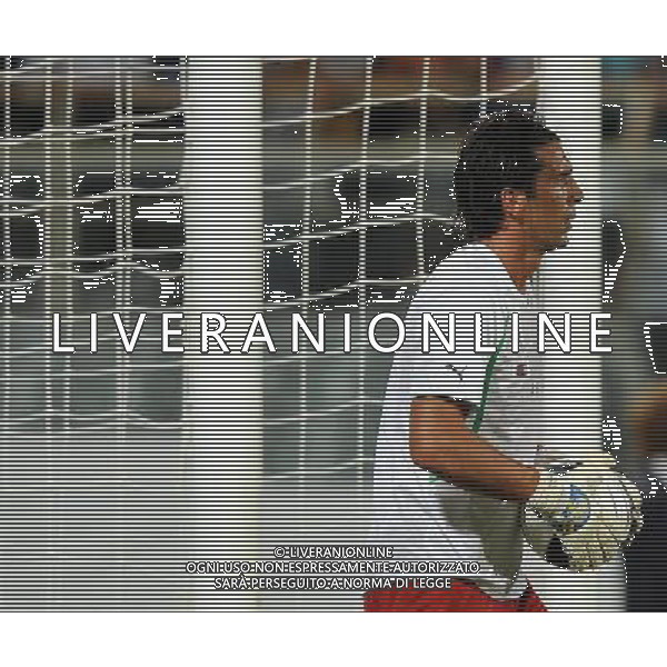 Qualificazioni ai Campionati Europei UEFA EURO 2012 Gruppo C Firenze - 06.09.2011 Italia-Slovenia Nella Foto:Gianluigi Buffon /Ph.Vitez-Ag. Aldo Liverani