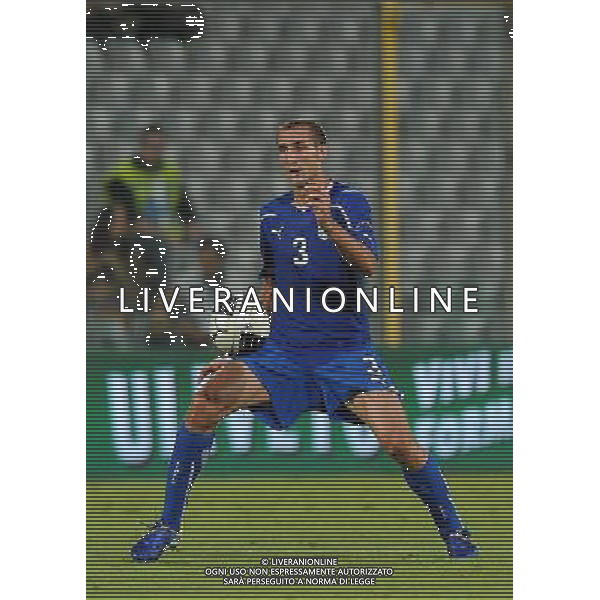 Qualificazioni ai Campionati Europei UEFA EURO 2012 Gruppo C Firenze - 06.09.2011 Italia-Slovenia Nella Foto:Giorgio Chiellini /Ph.Vitez-Ag. Aldo Liverani