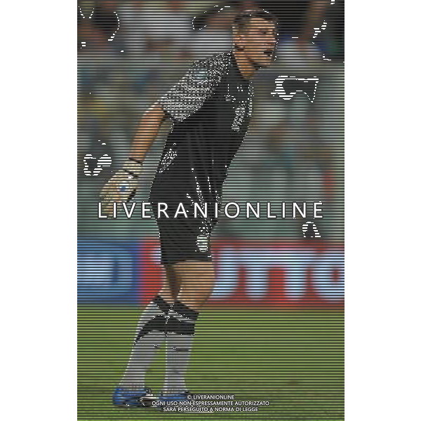 Qualificazioni ai Campionati Europei UEFA EURO 2012 Gruppo C Firenze - 06.09.2011 Italia-Slovenia Nella Foto:Jasmin Handanovic /Ph.Vitez-Ag. Aldo Liverani