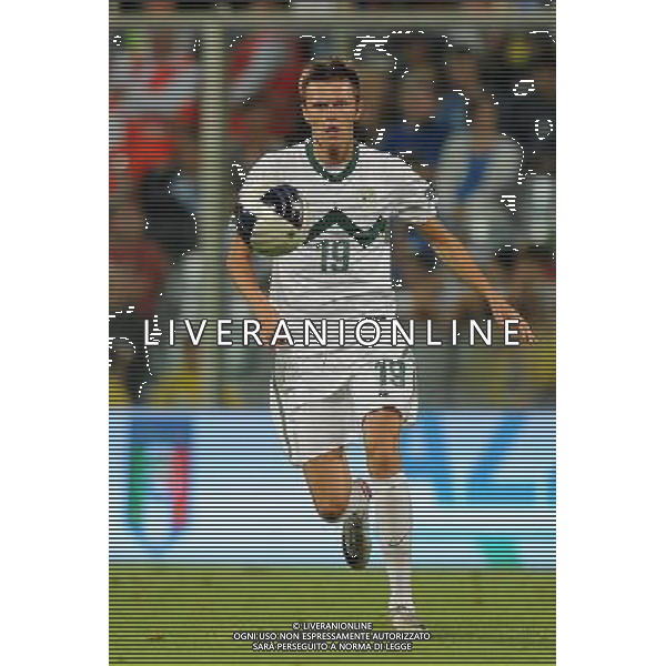 Qualificazioni ai Campionati Europei UEFA EURO 2012 Gruppo C Firenze - 06.09.2011 Italia-Slovenia Nella Foto:Branko Ilicic /Ph.Vitez-Ag. Aldo Liverani