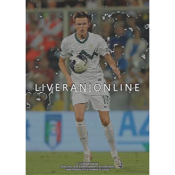 Qualificazioni ai Campionati Europei UEFA EURO 2012 Gruppo C Firenze - 06.09.2011 Italia-Slovenia Nella Foto:Branko Ilicic /Ph.Vitez-Ag. Aldo Liverani