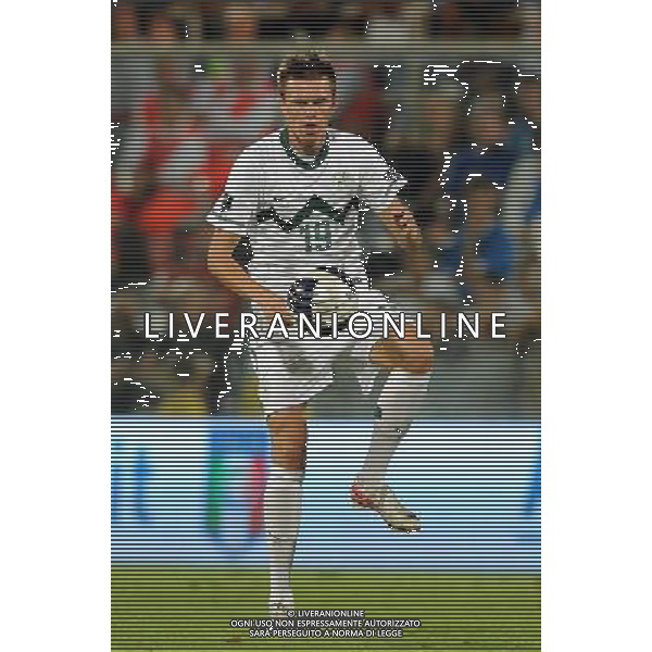 Qualificazioni ai Campionati Europei UEFA EURO 2012 Gruppo C Firenze - 06.09.2011 Italia-Slovenia Nella Foto:Branko Ilicic /Ph.Vitez-Ag. Aldo Liverani