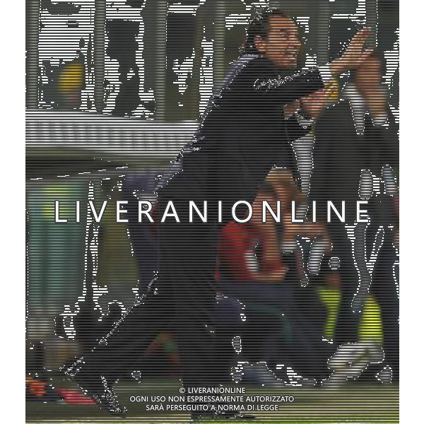 Qualificazioni ai Campionati Europei UEFA EURO 2012 Gruppo C Firenze - 06.09.2011 Italia-Slovenia Nella Foto:Cesare Prandelli /Ph.Vitez-Ag. Aldo Liverani