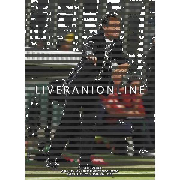 Qualificazioni ai Campionati Europei UEFA EURO 2012 Gruppo C Firenze - 06.09.2011 Italia-Slovenia Nella Foto:Cesare Prandelli /Ph.Vitez-Ag. Aldo Liverani