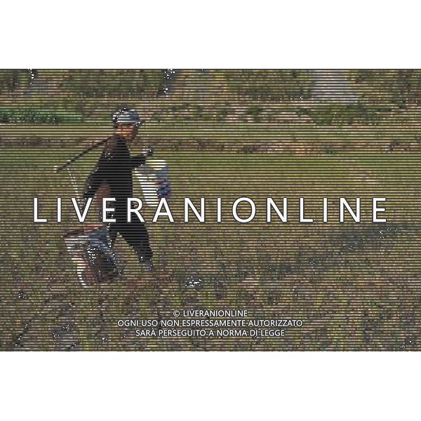 (110908) -- TIANLIN, Sept. 8, 2011 () -- Chen Poyou, a local villager, walks on a cracked croplands in the field in Pingman Village of Tianlin County, south China\'s Guangxi Zhuang Autonomous Region, Sept. 7, 2011. A total of 190,000 mu (about 12,667 hectares) of crops here have been affected by a serious drought, with 25,000 mu (about 1,667 hectares) totally fruitless. The drought has affected several counties as the average precipitation from July 1 to the end of August has fallen by 50 percent year on year to 228 millimeters, the least since 1951. (/Zhou Hua) (lfj)