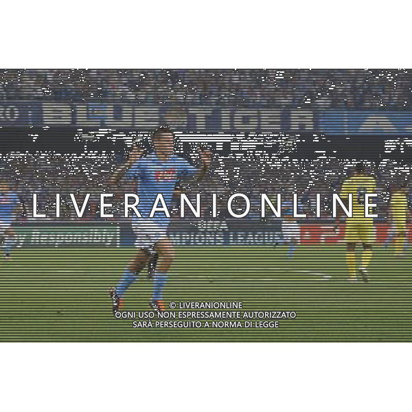Napoli - 27/09/2011 - Stadio San Paolo - Uefa Champions League 2011/2012 - Fase a gironi (Gruppo A) - Napoli vs Villareal - nella foto: l\'esultanza dopo il gol di marek hamsik Œ© Fabrizio Corradetti - Ag. Aldo Liverani sas