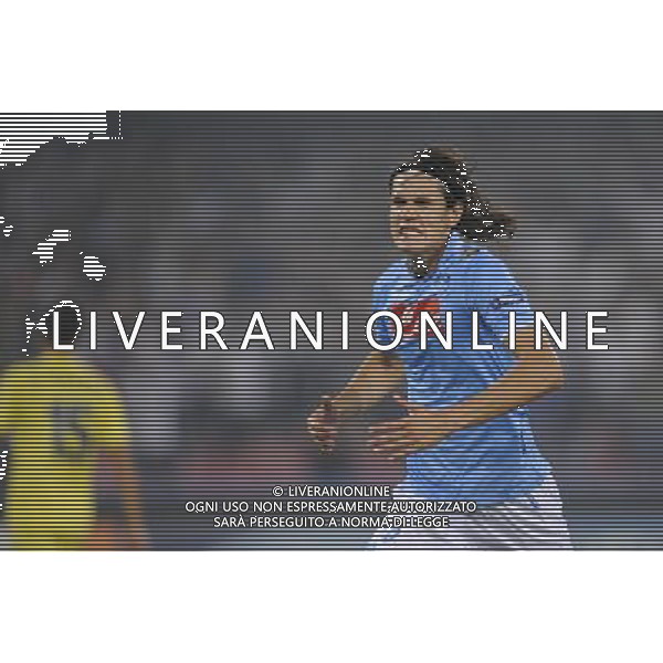 Napoli - 27/09/2011 - Stadio San Paolo - Uefa Champions League 2011/2012 - Fase a gironi (Gruppo A) - Napoli vs Villareal - nella foto: L\'esultanza dopo il gol su rigore di edinson cavani Œ© Fabrizio Corradetti - Ag. Aldo Liverani sas