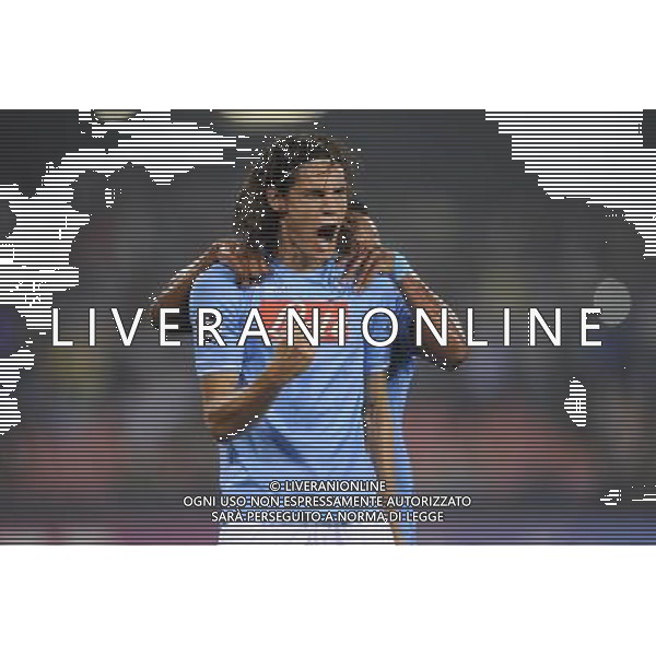 Napoli - 27/09/2011 - Stadio San Paolo - Uefa Champions League 2011/2012 - Fase a gironi (Gruppo A) - Napoli vs Villareal - nella foto: L\'esultanza dopo il gol su rigore di edinson cavani Œ© Fabrizio Corradetti - Ag. Aldo Liverani sas