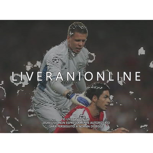 Arsenal\'s Wojciech Szczesny motywuje Arsenal\'s Mikel Arteta Football - UEFA Champions League - Group F - Arsenal v Olympiacos FC - Wed 28 Sep 2011 - Emirates Stadium - London - UK Foto: Michal Zemanek / Newspix.pl LIGA MISTRZOW SEZON 2011/2012 PILKA NOZNA ARSENAL LONDYN vs OLYMPIAKOS PIREUS --- Newspix.pl ARSENAL OLYMPIACOS - CHAMPIONS LEAGUE - ©AG ALDO LIVERANI SAS ITALY ONLY -. *** Local Caption *** .