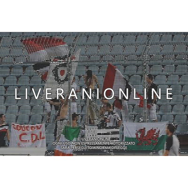 UEFA Europa League 2011/2012 Gruppo I Udine - 15.09.2011 Udinese-Rennes Nella Foto:tifosi rennes /Ph.Vitez-Ag. Aldo Liverani