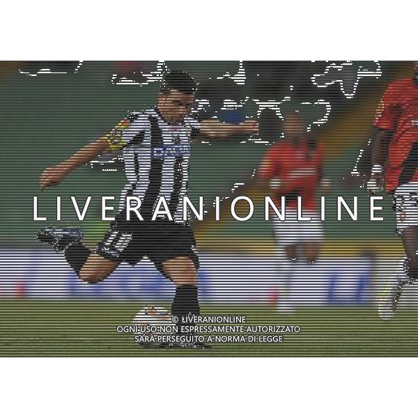 UEFA Europa League 2011/2012 Gruppo I Udine - 15.09.2011 Udinese-Rennes Nella Foto:di natale gol /Ph.Vitez-Ag. Aldo Liverani