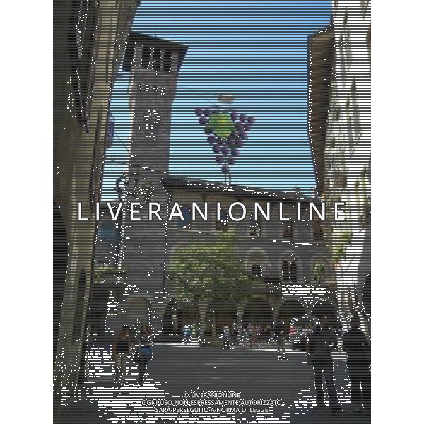 SVIZZERA- BELLINZONA SETTEMBRE 2011 NELLA FOTO BELLINZONA CITTA AG ALDO LIVERANI S A S