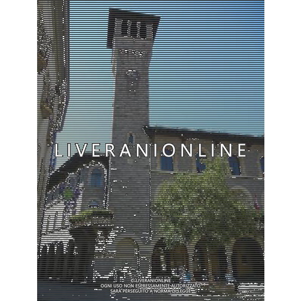 SVIZZERA- BELLINZONA SETTEMBRE 2011 NELLA FOTO BELLINZONA CITTA AG ALDO LIVERANI S A S