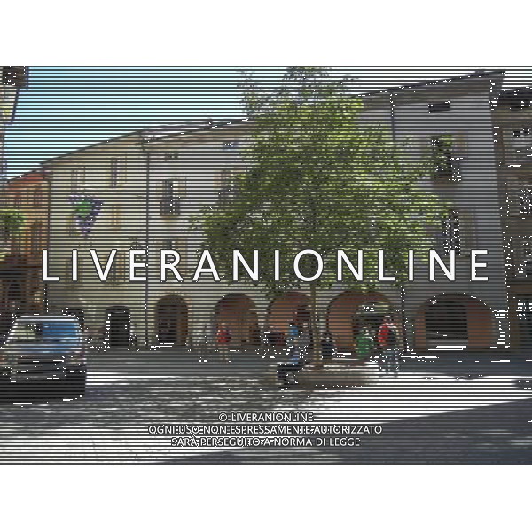 SVIZZERA- BELLINZONA SETTEMBRE 2011 NELLA FOTO BELLINZONA CITTA\' AG ALDO LIVERANI S A S