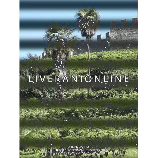 SVIZZERA- BELLINZONA SETTEMBRE 2011 NELLA FOTO BELLINZONA CITTA\' AG ALDO LIVERANI S A S