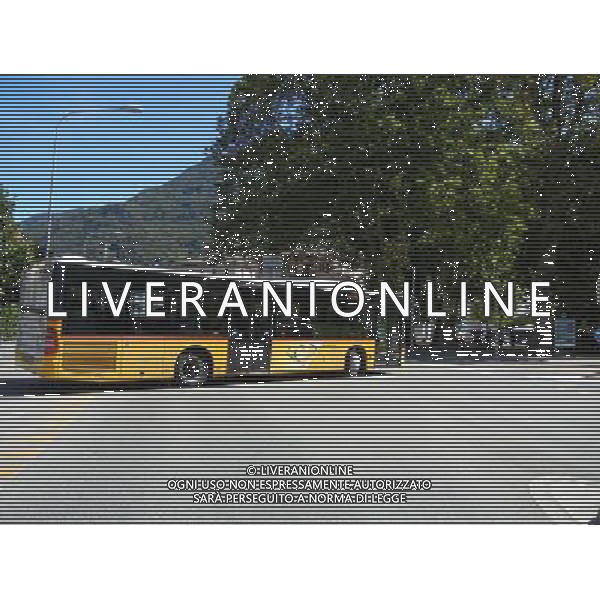 SVIZZERA- BELLINZONA SETTEMBRE 2011 NELLA FOTO BELLINZONA CITTA\' AG ALDO LIVERANI S A S