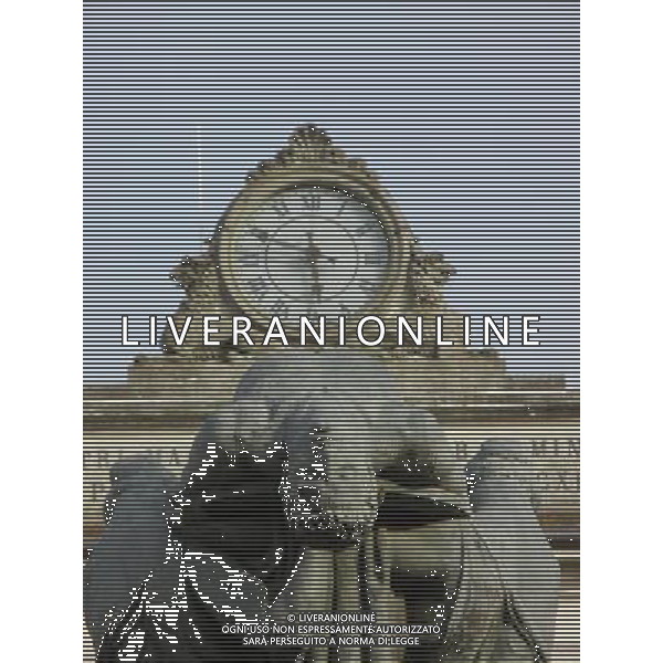 SANTARCANGELO DI ROMAGNA RIMINI SETTEMBRE 2011 NELLA FOTO AG ALDO LIVERANI S A S