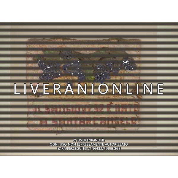 SANTARCANGELO DI ROMAGNA RIMINI SETTEMBRE 2011 NELLA FOTO AG ALDO LIVERANI S A S