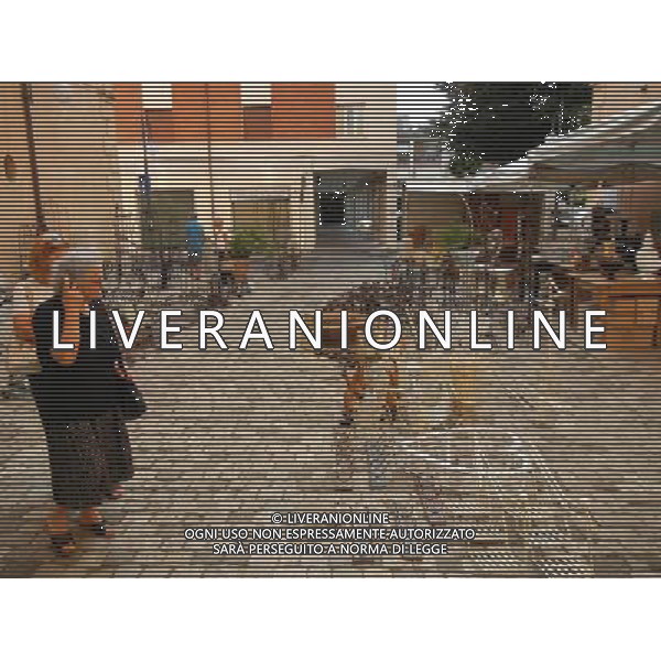 SANTARCANGELO DI ROMAGNA RIMINI SETTEMBRE 2011 NELLA FOTO MERCATO DELL\'ANTIQUARIATO NELLA PIAZZA GANGANELLI OGNI PRIMA DOMENICA DI INZIO MESE AG ALDO LIVERANI S A S