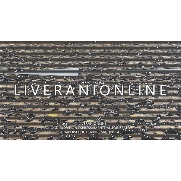 LONDON, UNITED KINGDOM OCTOBER 6 : Pic Shows Leaves imprinted in to the road in central London, a certain type of tarmac and the constant use of cars on the road has left the autum leaves imprinted on the road on October, 6th, 2011 in London, England ©photoshot/AG ALDO LIVERANI SAS - ITALY ONLY