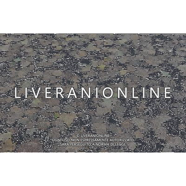 LONDON, UNITED KINGDOM OCTOBER 6 : Pic Shows Leaves imprinted in to the road in central London, a certain type of tarmac and the constant use of cars on the road has left the autum leaves imprinted on the road on October, 6th, 2011 in London, England ©photoshot/AG ALDO LIVERANI SAS - ITALY ONLY