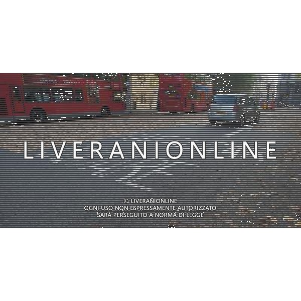 LONDON, UNITED KINGDOM OCTOBER 6 : Pic Shows Leaves imprinted in to the road in central London, a certain type of tarmac and the constant use of cars on the road has left the autum leaves imprinted on the road on October, 6th, 2011 in London, England ©photoshot/AG ALDO LIVERANI SAS - ITALY ONLY