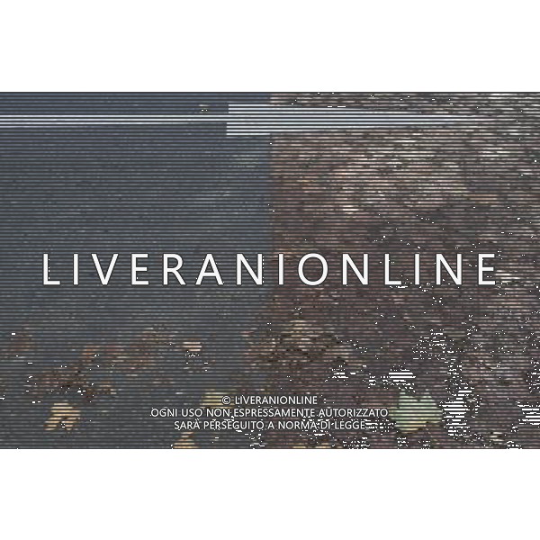 LONDON, UNITED KINGDOM OCTOBER 6 : Pic Shows Leaves imprinted in to the road in central London, a certain type of tarmac and the constant use of cars on the road has left the autum leaves imprinted on the road on October, 6th, 2011 in London, England ©photoshot/AG ALDO LIVERANI SAS - ITALY ONLY