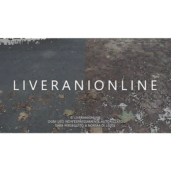 LONDON, UNITED KINGDOM OCTOBER 6 : Pic Shows Leaves imprinted in to the road in central London, a certain type of tarmac and the constant use of cars on the road has left the autum leaves imprinted on the road on October, 6th, 2011 in London, England ©photoshot/AG ALDO LIVERANI SAS - ITALY ONLY