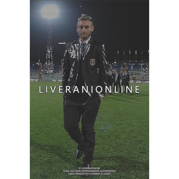 Qualificazioni ai Campionati Europei UEFA EURO 2012 Gruppo C Pescara - 11.10.2011 Italia-Irlanda del Nord Nella Foto:Daniele De Rossi /Ph.Vitez-Ag. Aldo Liverani