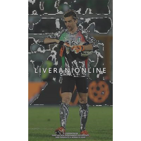 Qualificazioni ai Campionati Europei UEFA EURO 2012 Gruppo C Pescara - 11.10.2011 Italia-Irlanda del Nord Nella Foto:Morgan De Sanctis /Ph.Vitez-Ag. Aldo Liverani