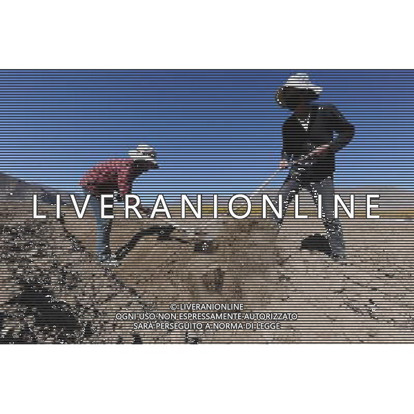 (111013) LHASA, Oct. 13, 2011 () People plough in a field in Deqing Village, Dagze County, southwest China\'s Tibet Autonomous Region, Oct. 13, 2011. Farmers in the valley of Yarlung Zangbo River began their autumn sowing recently. (/Wen Tao) (ly)